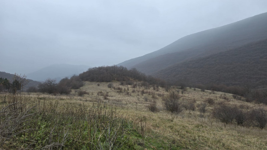 იყიდება სასოფლო-სამეურნეო მიწის ნაკვეთი თეთრიწყაროს რაიონში