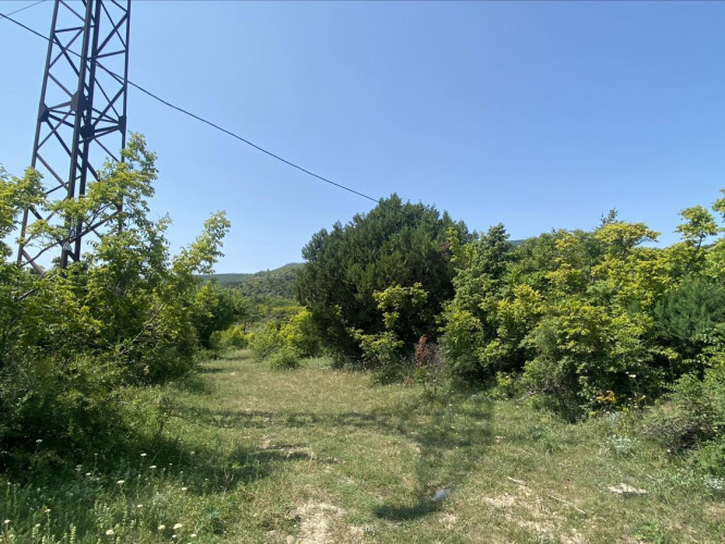 იყიდება მიწის ნაკვეთი შიო მღვიმეს გზაზე მცხეთაში