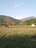 იყიდება მიწის ნაკვეთი სოფელ ლაფანყურში