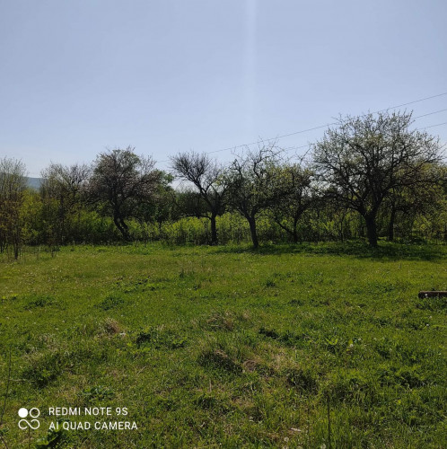 მიწა თიანეთში