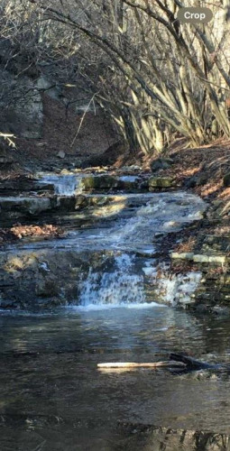 იყიდება სასოფლო-სამეურნეო მიწის ნაკვეთი თეთრიწყაროს რაიონში