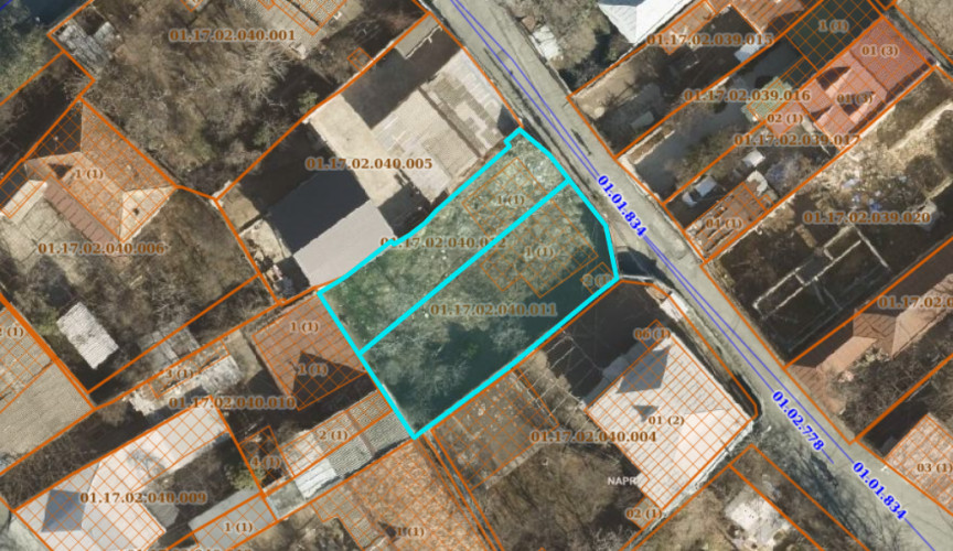 მიწა ელიაზე