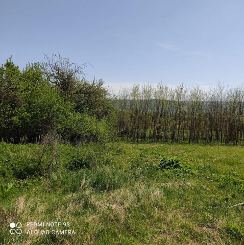 მიწა თიანეთში