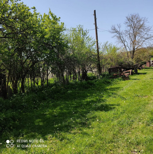 მიწა თიანეთში