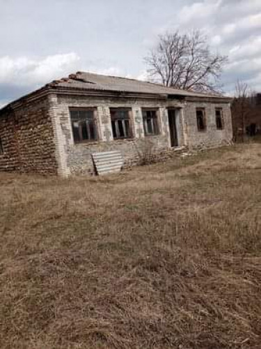 მიწა თიანეთში