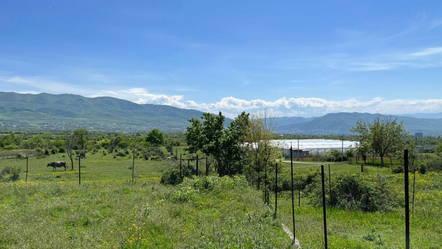 მიწა საგურამოსთან