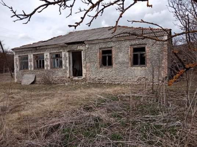 მიწა თიანეთში