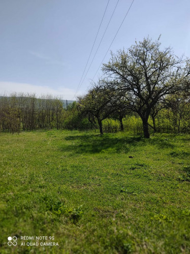 მიწა თიანეთში