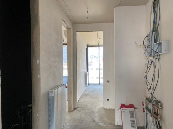 ბინა ვაკეში