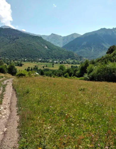 იყიდება მიწის ნაკვეთი სოფელ ბეჩოში