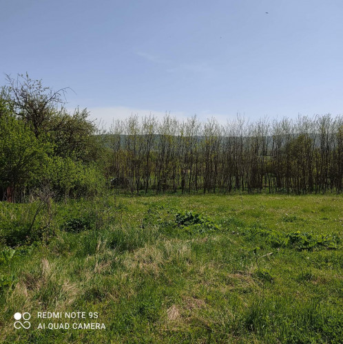 მიწა თიანეთში