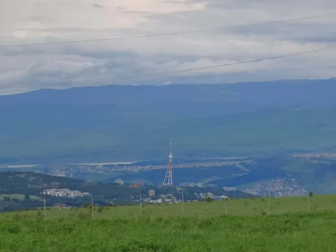 იყიდება მიწის ნაკვეთი წავკისში