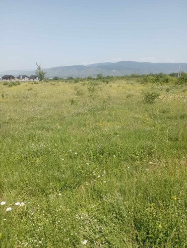 იყიდება  მიწის ნაკვეთი საგურამოში