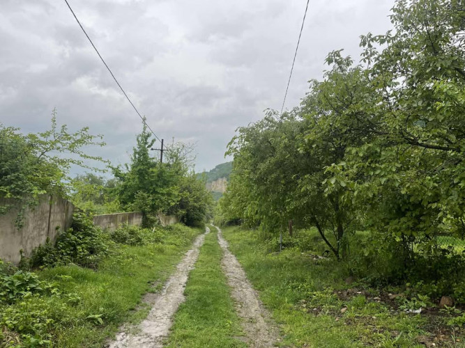 იყიდება მიწის ნაკვეთი ბოდორნაში