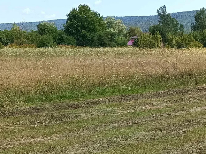 იყიდება მიწის ნაკცვეთი სოფელ გუდანელებში