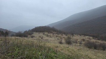 იყიდება სასოფლო-სამეურნეო მიწის ნაკვეთი თეთრიწყაროს რაიონში