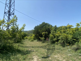 იყიდება მიწის ნაკვეთი შიო მღვიმეს გზაზე მცხეთაში