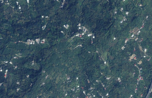 იყიდება მიწის ნაკვეთი ბათუმში