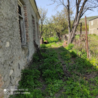 მიწა თიანეთში