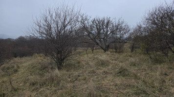 იყიდება სასოფლო-სამეურნეო მიწის ნაკვეთი თეთრიწყაროს რაიონში