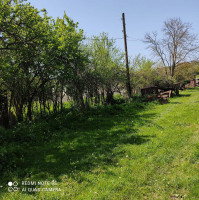 მიწა თიანეთში