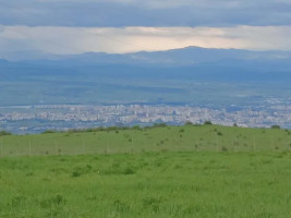იყიდება მიწის ნაკვეთი წავკისში