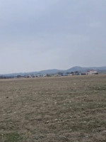 იყიდება  მიწის ნაკვეთი მარტყოფში