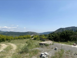იყიდება მიწის ნაკვეთი შიო მღვიმეს გზაზე მცხეთაში