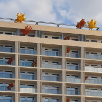 ბინები დიდ დიღომში