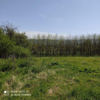 მიწა თიანეთში