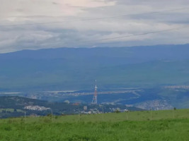 იყიდება მიწის ნაკვეთი წავკისში