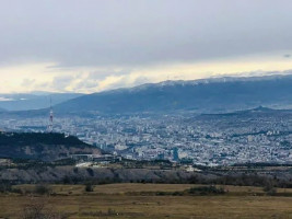 იყიდება მიწის ნაკვეთი ტაბახმელაში
