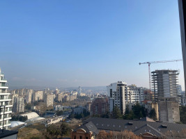 ბინა ვაკეში